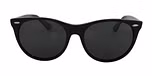 Black / Polarized