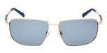 SHINY PALE GOLD / SHINY PALE GOLD / SMOKE POLARIZED