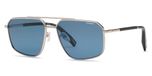 TOTAL SHINY PALLADIUM / BLUE / POLARIZED