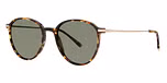 Tortoise / polarized