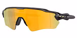 Polished Black / Prizm 24K Polarized