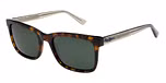 TORTOISESHELL