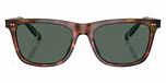 Shiny Brown Tortoise / Bottle Green