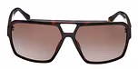 DARK HAVANA / DARK HAVANA / GRADIENT BROWN