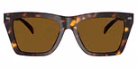 Dark Tortoise / Dark Brown Solid Polar