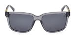 GREY/OTHER / SMOKE POLARIZED