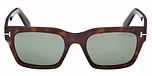 Dark Havana / Dark Havana / green polarized