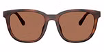 Matte Dark Tortoise / Brown Solid