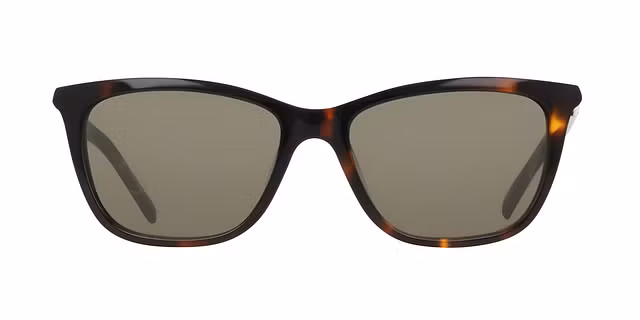 DKNY - DK558S