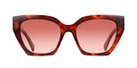 RED TORTOISE