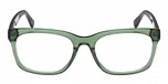 SHINY DARK GREEN / SHINY DARK GREEN