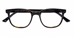 HAVANA (BROWN) DARK SHINY