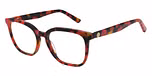 CORAL TORT