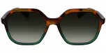 BROWN GREEN HAVANA / GREEN