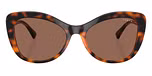Dark Havana / Dark Brown