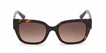 DARK HAVANA / GRADIENT BROWN
