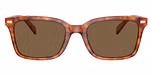 Caramel Tortoise / Brown Solid