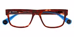 RED TORTOISE