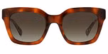 HAVANA (BROWN SHADED)