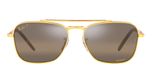 LEGEND GOLD / gold / polarized clear gradient dark brow