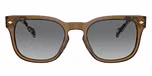 Transparent Olive Green / Green / Gradient Grey