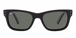 BLACK / black / polarized green