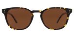 Tortoise Polarized