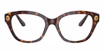 Havana / Tortoise