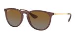 TRANSPARENT DARK BROWN / brown / brown gradient polarized