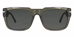 Green / Gray Polarised Lens