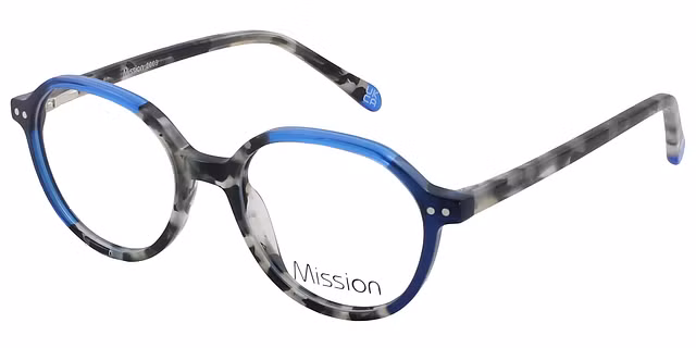 Mission - 2009