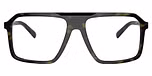 Olive Tortoise