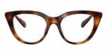 Havana / Tortoise