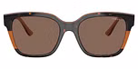 Havana/Transparent Brown Glitter / Dark Brown