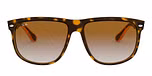 LIGHT HAVANA / havana / clear gradient brown