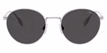 Brushed Silver / Dark Grey