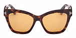 DARK HAVANA / DARK HAVANA / BROWN