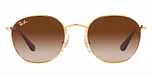 Arista Gold / Brown