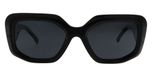 Black / Polarized