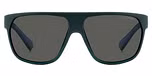 MATTE GREEN / GREY POLARIZED