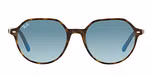 HAVANA ON LIGHT BLUE / havana / blue gradient grey
