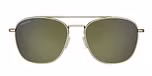 Shiny Light Gold / Mineral Polarized 555nm Cat 3
