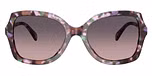 Amethyst Pearl Tortoise / Smoke Purple Gradient