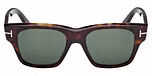 DARK HAVANA / DARK HAVANA / GREEN