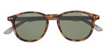 Matte tort / Grey crystal / Solid green / Polarized  (Cat 3)