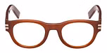Shiny Light Brown / Shiny Light Brown