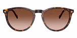 Dark Havana / Brown / Gradient Brown