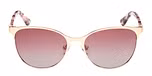 MATTE PALE GOLD / DARK HAVANA / BROWN POLARIZED
