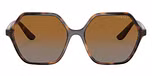 Dark Havana / Polarized brown polarized