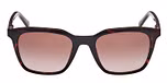 DARK HAVANA / DARK HAVANA / GRADIENT BROWN